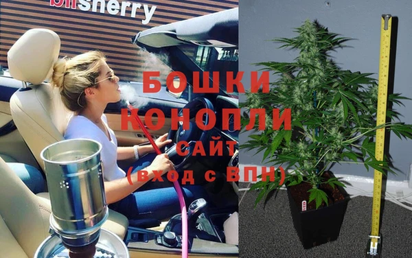 мяу мяу мука Белокуриха