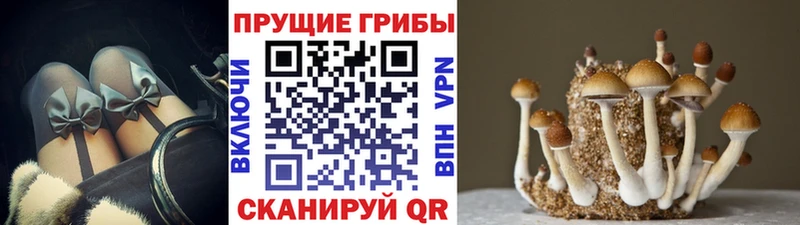 Галлюциногенные грибы мицелий Пыть-Ях