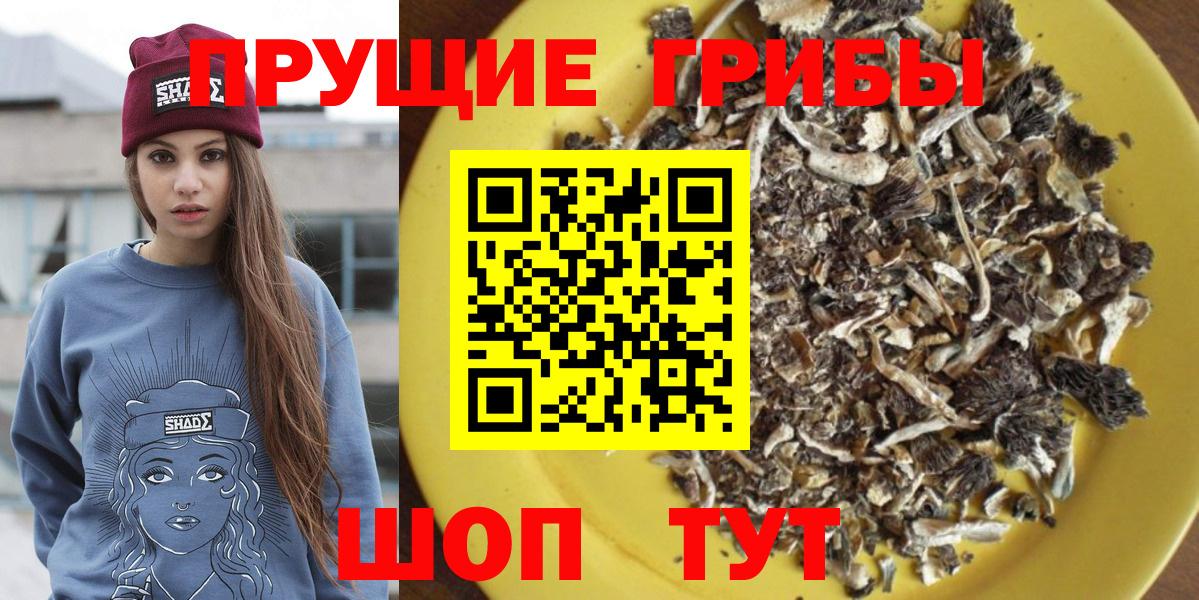 Псилоцибиновые грибы Psilocybine cubensis  Вход с VPN  Пыть-Ях 